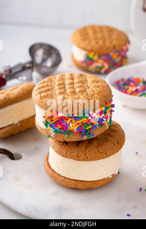 Sandwich con gelato alla vaniglia e biscotti al burro di arachidi e spolverini Foto Stock