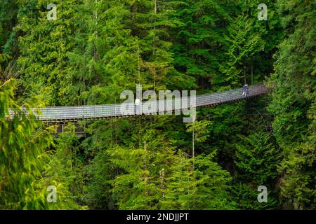 Turisti che attraversano il grande ponte sospeso del Parco del Ponte sospeso di Capilano. Foto Stock