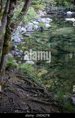 Il fiume Big sur, un fiume panoramico nazionale, che scorre attraverso Barlow Camp nel backcountry Big sur. Foto Stock