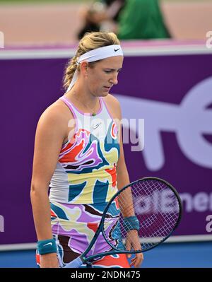 Doha, Qatar. 15th Feb, 2023. Victoria Azarenka di Bielorussia reagisce durante il singolo turno di 16 partita contro Belinda Bencic della Svizzera al WTA500 Qatar Open 2023 a Doha, Qatar, 15 febbraio 2023. Credit: Nikku/Xinhua/Alamy Live News Foto Stock