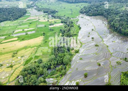 Fotografia aerea dei campi di riso in Karangasem Regency, Bali, Indonesia. Foto Stock