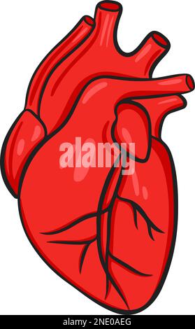 Principale cuore interno dell'organo umano Illustrazione Vettoriale