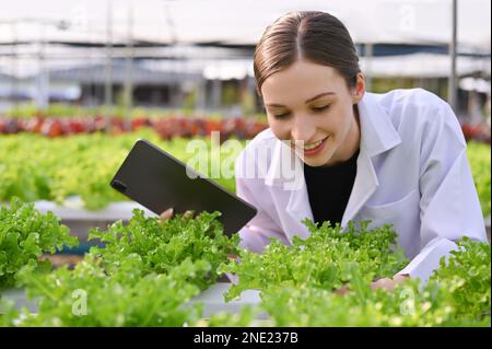 Felice professionista scienziato agricolo caucasico che ispeziona piante idroponiche organiche nella serra. Scienza e affari agricoli Foto Stock