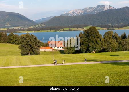 Vista dall'alto delle colline pedemontane delle Alpi con il lago Forggensee di fronte al quale giovani escursionisti passano su un sentiero attraverso prati verdi. Foto Stock