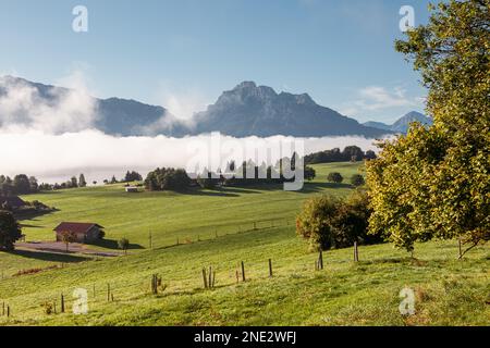 Vista dall'alto delle colline pedemontane delle Alpi con il lago Forggensee coperto di nebbia mattutina e prati verdi al sole. Foto Stock