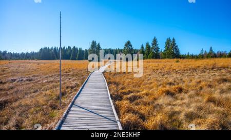 Sentiero in legno in Bozi Dar torbiera riserva naturale nella soleggiata giornata autunnale. Montagne del minerale, ceco: Krusne Hory, Repubblica ceca Foto Stock