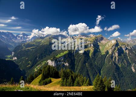 Vista da Schynige Platte al monte Sulegg delle Alpi Bernesi, Svizzera, Oberland Bernese, Sassonia Foto Stock