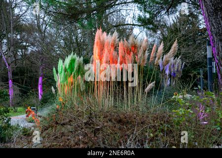 Francoforte, Germania - 28 dicembre 2022: Luce colorata nella natura a Winterlichter - engl: Luce invernale - a Francoforte Palm Garden. Foto Stock