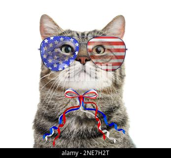 Carino gatto con occhiali da sole e arco su sfondo bianco. Concetto di vacanze federali negli Stati Uniti Foto Stock