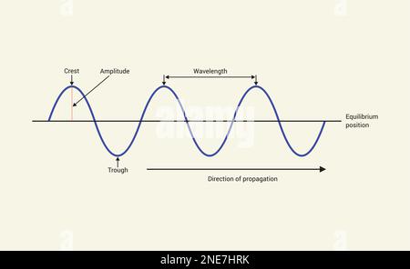 Onda sonora. Illustrazione del periodo dell'onda trasversale e del vettore di ampiezza, grafica dell'illustrazione del vettore dell'onda sonora Illustrazione Vettoriale