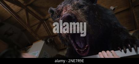 ORSO COCAINA (2023) ELIZABETH BANKS (DIR) UNIVERSAL PICTURES/COLLEZIONE MOVIESTORE Foto Stock