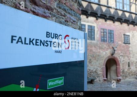 16 febbraio 2023, Sassonia-Anhalt, Falkenstein: Vista sul cortile interno del Castello di Falkenstein con le ali nord e ovest. Il castello di Falkenstein, nella regione meridionale di Harz, sta per essere sottoposto a numerosi lavori di costruzione. Anche la mostra sarà ridisegnata. Dei 200 milioni di euro che i governi federali e statali stanno fornendo in un programma speciale di investimenti per i monumenti architettonici di rilievo nell'inventario della Fondazione culturale Sassonia-Anhalt, il denaro è anche quello di fluire al castello di Falkenstein. Due ali sono da ristrutturare. Il progetto prevede di ristrutturare l'ala nord, dove si trova la K Foto Stock