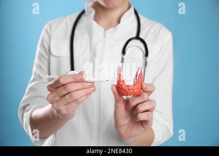 Medico che tiene modello di plastica della tiroide afflitta su sfondo azzurro, primo piano Foto Stock