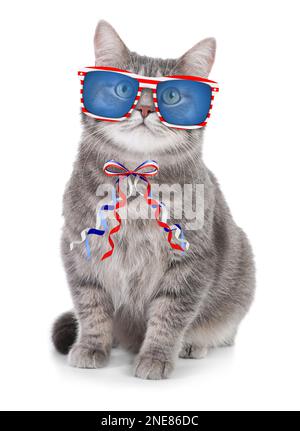 Carino gatto con occhiali da sole e arco su sfondo bianco. Concetto di vacanze federali negli Stati Uniti Foto Stock