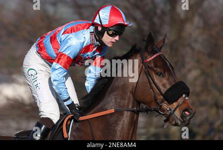 Prumpton, Regno Unito 13th Febbraio 2023 : Sean Houlihan ridding Mardoof va a postare per il forte Flavours Catering Maiden Hridle all'ippodromo di Prumpton. Credit: James Boardman/Alamy Live News Foto Stock