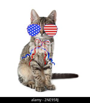 Carino gatto con occhiali da sole e arco su sfondo bianco. Concetto di vacanze federali negli Stati Uniti Foto Stock