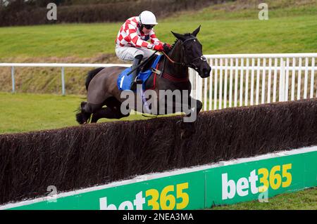 Voce di calma e jockey Tom Bellamy libera una recinzione sulla strada per vincere la visita racingtv.com Mares' handicap Chase al leicester racecourse, Oadby. Data immagine: Giovedì 16 febbraio 2023. Foto Stock