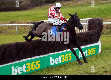 Voce di calma e jockey Tom Bellamy libera una recinzione sulla strada per vincere la visita racingtv.com Mares' handicap Chase al leicester racecourse, Oadby. Data immagine: Giovedì 16 febbraio 2023. Foto Stock