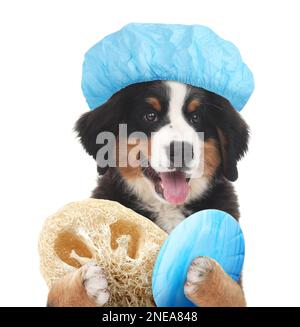 Simpatico cane divertente con cuffia doccia e diversi accessori per il bagno su sfondo bianco Foto Stock