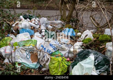 Figliata gettata fuori in un'area boschiva in un layby su una strada, Cumbria, Regno Unito. Foto Stock