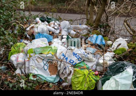 Figliata gettata fuori in un'area boschiva in un layby su una strada, Cumbria, Regno Unito. Foto Stock