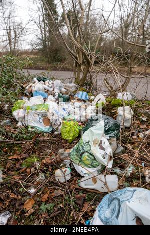 Figliata gettata fuori in un'area boschiva in un layby su una strada, Cumbria, Regno Unito. Foto Stock