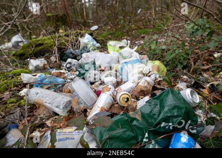 Figliata gettata fuori in un'area boschiva in un layby su una strada, Cumbria, Regno Unito. Foto Stock