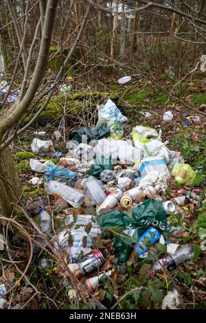 Figliata gettata fuori in un'area boschiva in un layby su una strada, Cumbria, Regno Unito. Foto Stock