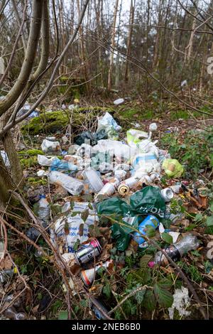 Figliata gettata fuori in un'area boschiva in un layby su una strada, Cumbria, Regno Unito. Foto Stock