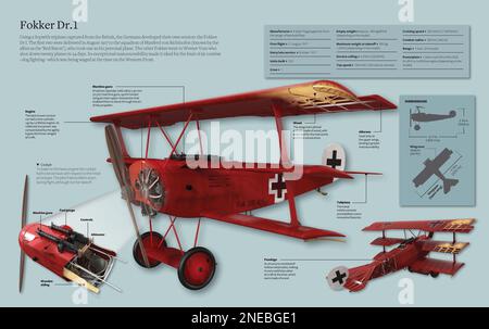 Infografica sul Fokker Dr.1, un aereo da caccia della prima guerra mondiale che, grazie alla sua eccezionale manovrabilità, era ideale per i combattimenti aerei. [Adobe InDesign (.indd); 5078x3188]. Foto Stock