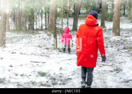 Vista posteriore del ragazzo e della bambina adolescenti in abiti caldi, in piedi tra gli alberi nella foresta in inverno nevoso, cane a piedi. Foto Stock