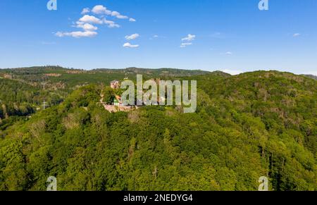 Castello di Neustadt Harz Castello di Hohnstein Harz Foto Stock