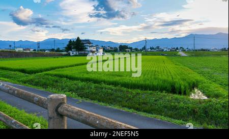 Vista sulle Alpi giapponesi e sulle fattorie di Matsumoto, Giappone. Foto Stock