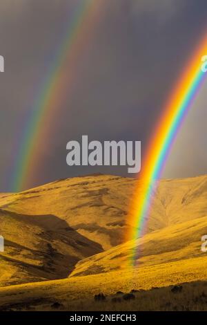 Doppio arco arcobaleno che si estende sulle colline dorate lungo la Route 205 nella contea di Harney, Oregon, USA Foto Stock