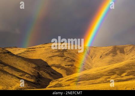 Doppio arco arcobaleno che si estende sulle colline dorate lungo la Route 205 nella contea di Harney, Oregon, USA Foto Stock