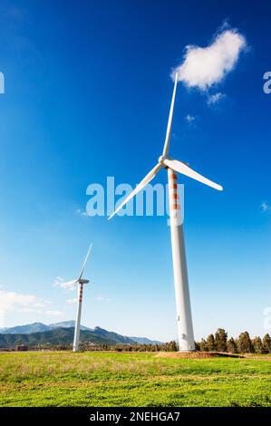 Turbina eolica sull'erba verde su tutto il blu cielo velato Foto Stock