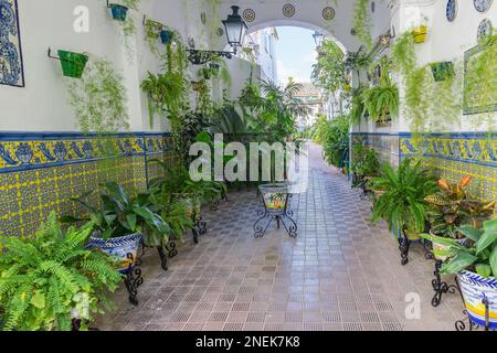 Bellissimo patio andaluso con pentole e piante nel corridoio nel quartiere di Triana, Siviglia, Andalusia, Spagna Foto Stock