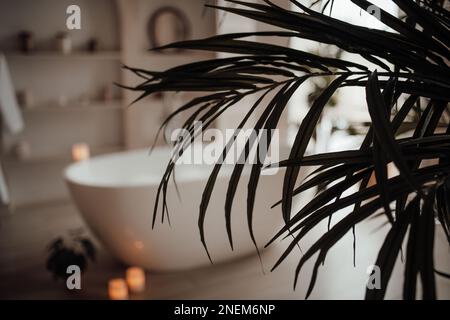 Le delicate sfumature native hanno un aspetto organico del bagno con grande finestra ovale vasca da bagno in tonalità neutre. Piante di palma verde candele bagnomaria leasure e rela Foto Stock