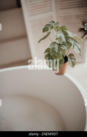 Le delicate sfumature native hanno un aspetto organico del bagno con grande finestra ovale vasca da bagno in tonalità neutre. Piante di palma verde candele bagnomaria leasure e rela Foto Stock