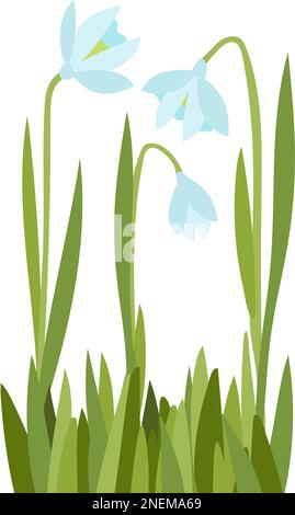 fiori bianchi illustrazione vettore nevicate Illustrazione Vettoriale