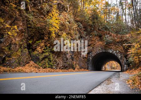 Tunnel panoramico della Bote Mountain attraverso il Great Smoky Mountain National Park nel Tennessee Foto Stock