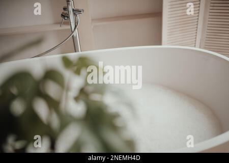 Le delicate sfumature native hanno un aspetto organico del bagno con grande finestra ovale vasca da bagno in tonalità neutre. Piante di palma verde candele bagnomaria leasure e rela Foto Stock