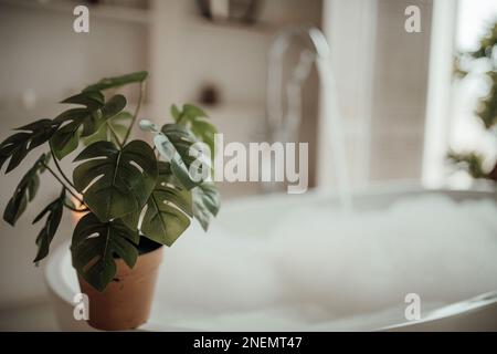 Le delicate sfumature native hanno un aspetto organico del bagno con grande finestra ovale vasca da bagno in tonalità neutre. Piante di palma verde candele bagnomaria leasure e rela Foto Stock