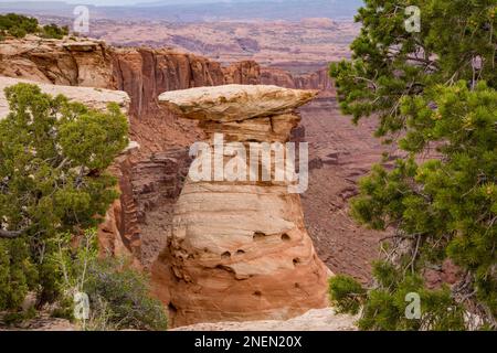 Vista di una colonna rocciosa bilanciata di Hoodoo in arenaria nel Long Canyon al Pucker Pass vicino a Moab, Utah. Foto Stock