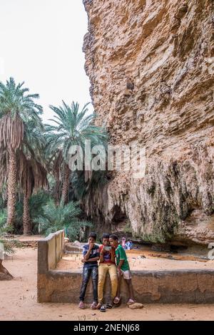 Mauritania, oasi di Terjit Foto Stock