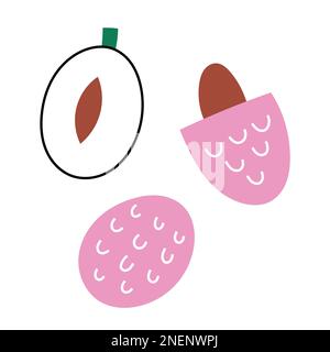 Illustrazione vettoriale del tagliatello di frutta del lychee Illustrazione Vettoriale