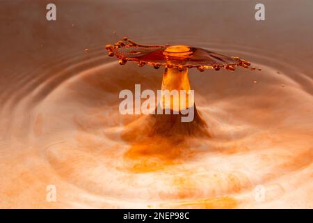 Macro fotografia gocce d'acqua fotografate con il grilletto Plutone Foto Stock