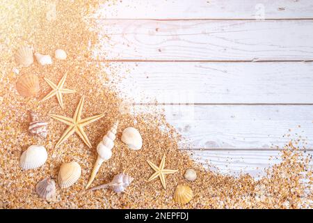 Sabbia fondo conchiglie. Concetto estivo con conchiglie e stelle marine su fondo in legno e sabbia. Foto Stock