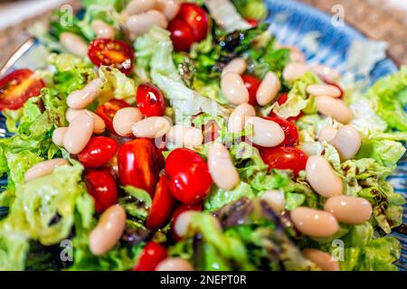 Verdure colorate tritate come insalata vegana fresca con lattuga a foglia rossa e pomodori ciliegini rossi con fagioli bianchi su piatto blu Foto Stock