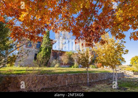 Soleggiata vista esterna del Centennial Museum of the University of Texas at El Paso at Texas Foto Stock